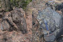 GREAT STHN GSN MV Au BNBWA