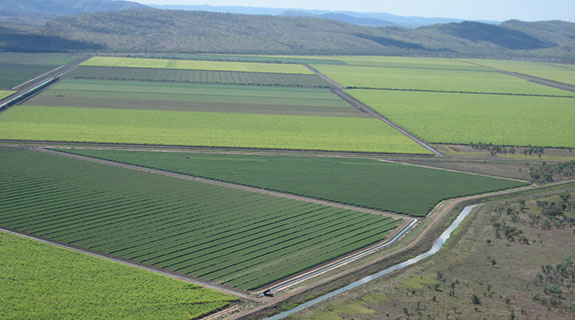 5,000ha Ord land release proceeds