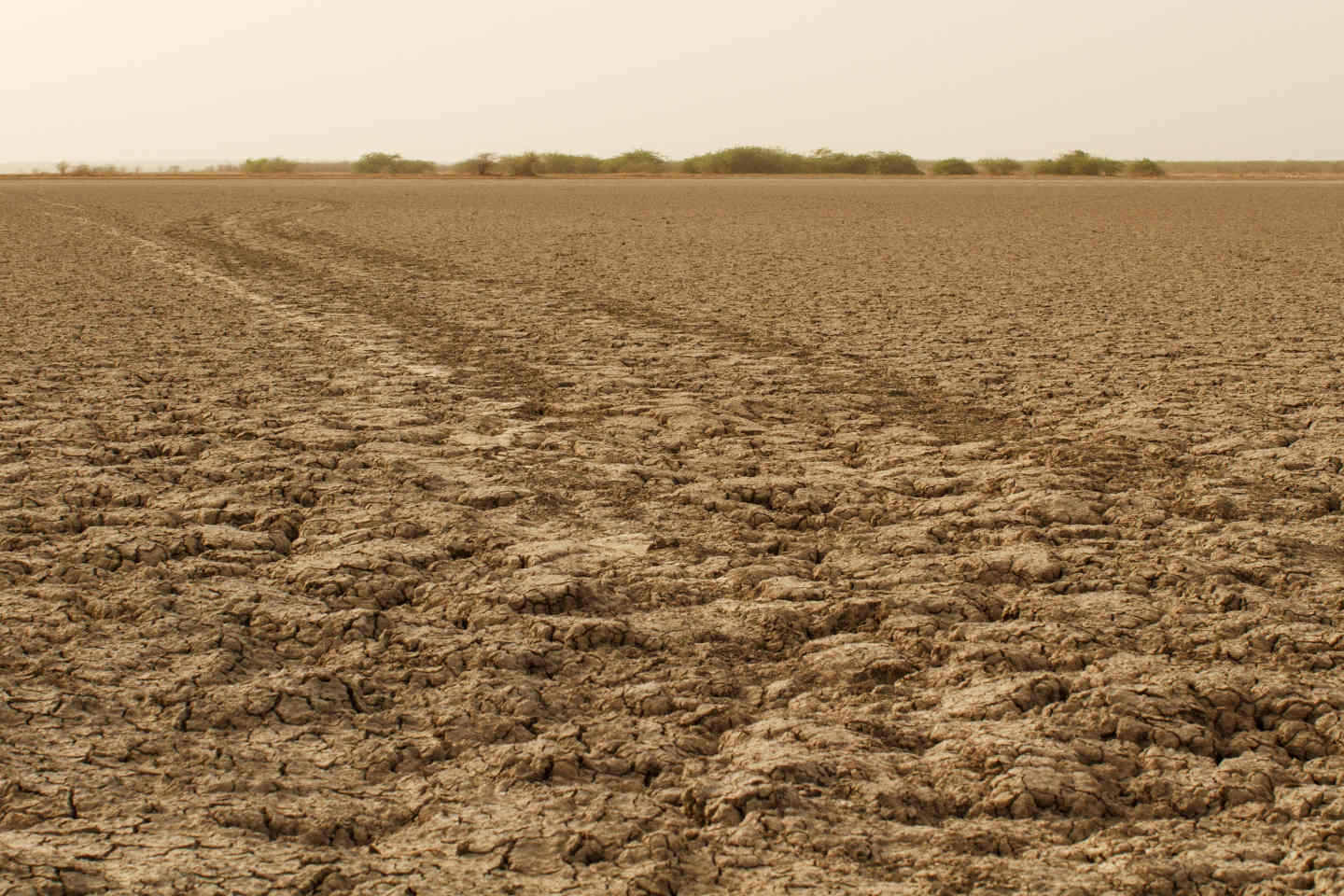 Tough choices on mixed farms