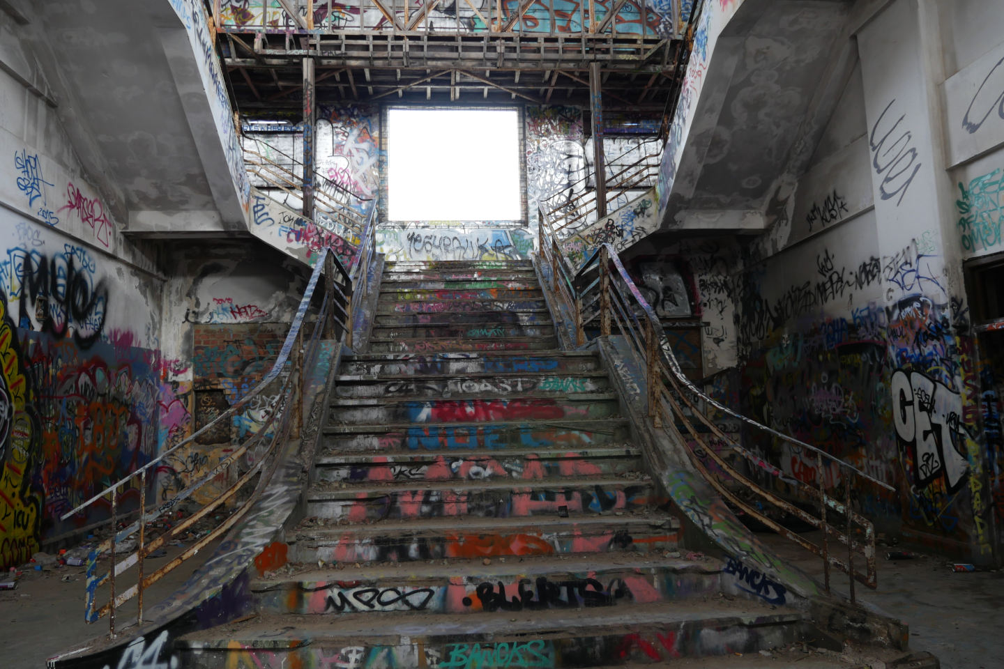 Synergy reveals more South Freo details