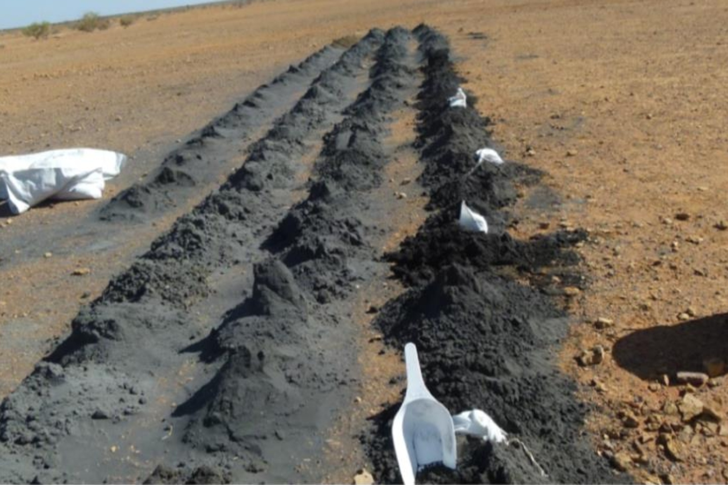 Octava takes aim at rare earths and lithium in Gascoyne