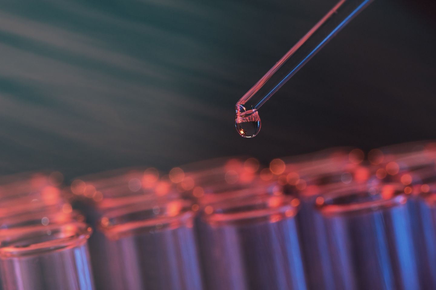 Investment that makes an impact