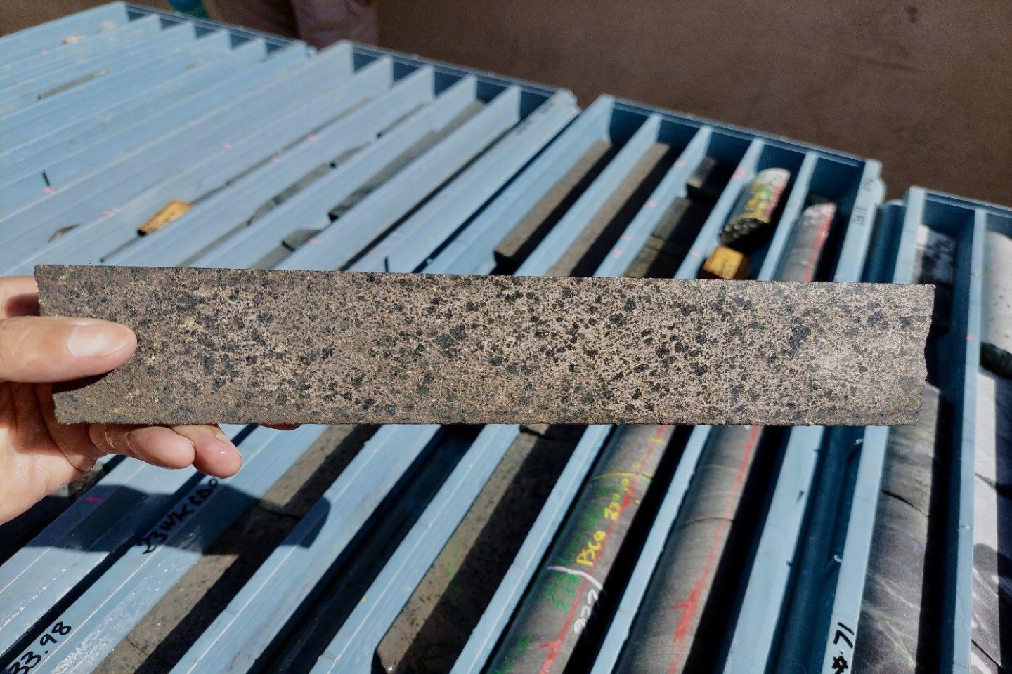 Second Kimberley hole hits more high-grade nickel for Buxton