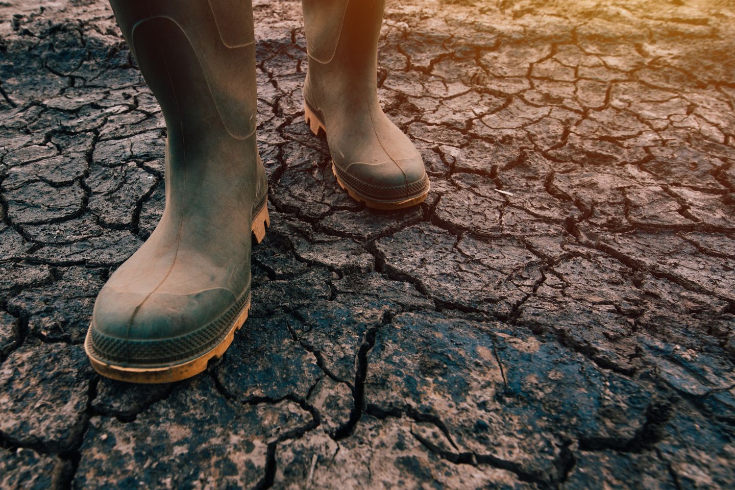 Opinion: Hard to have forecast BOM website fail