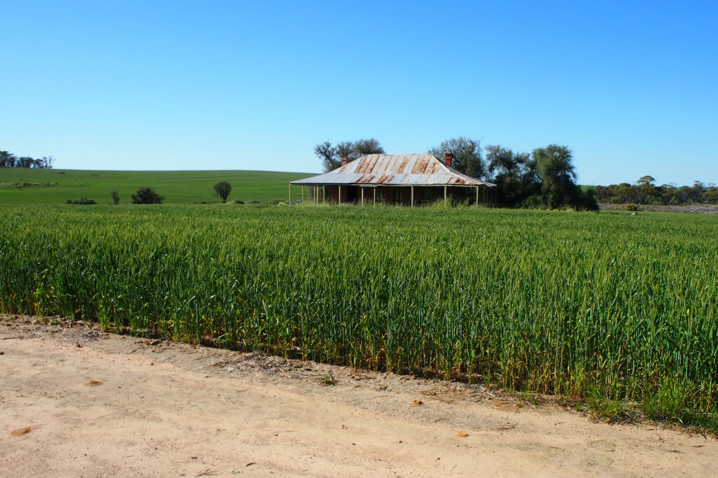 Politics and a production push