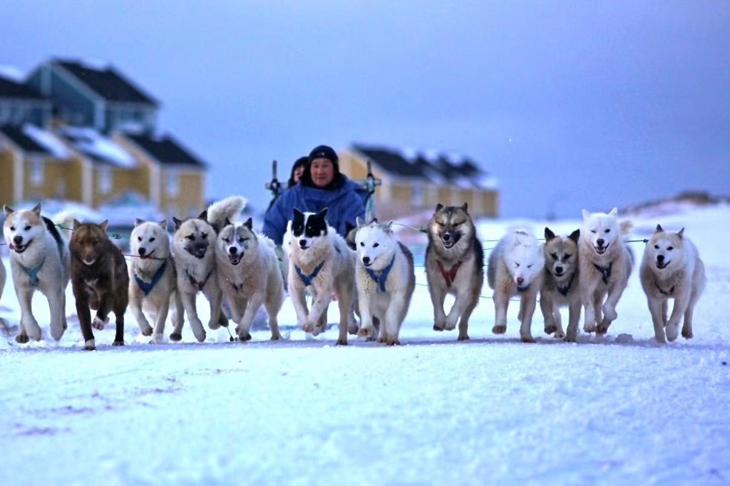 DALAROO_BLUE LAGOON_BNBWA (1)