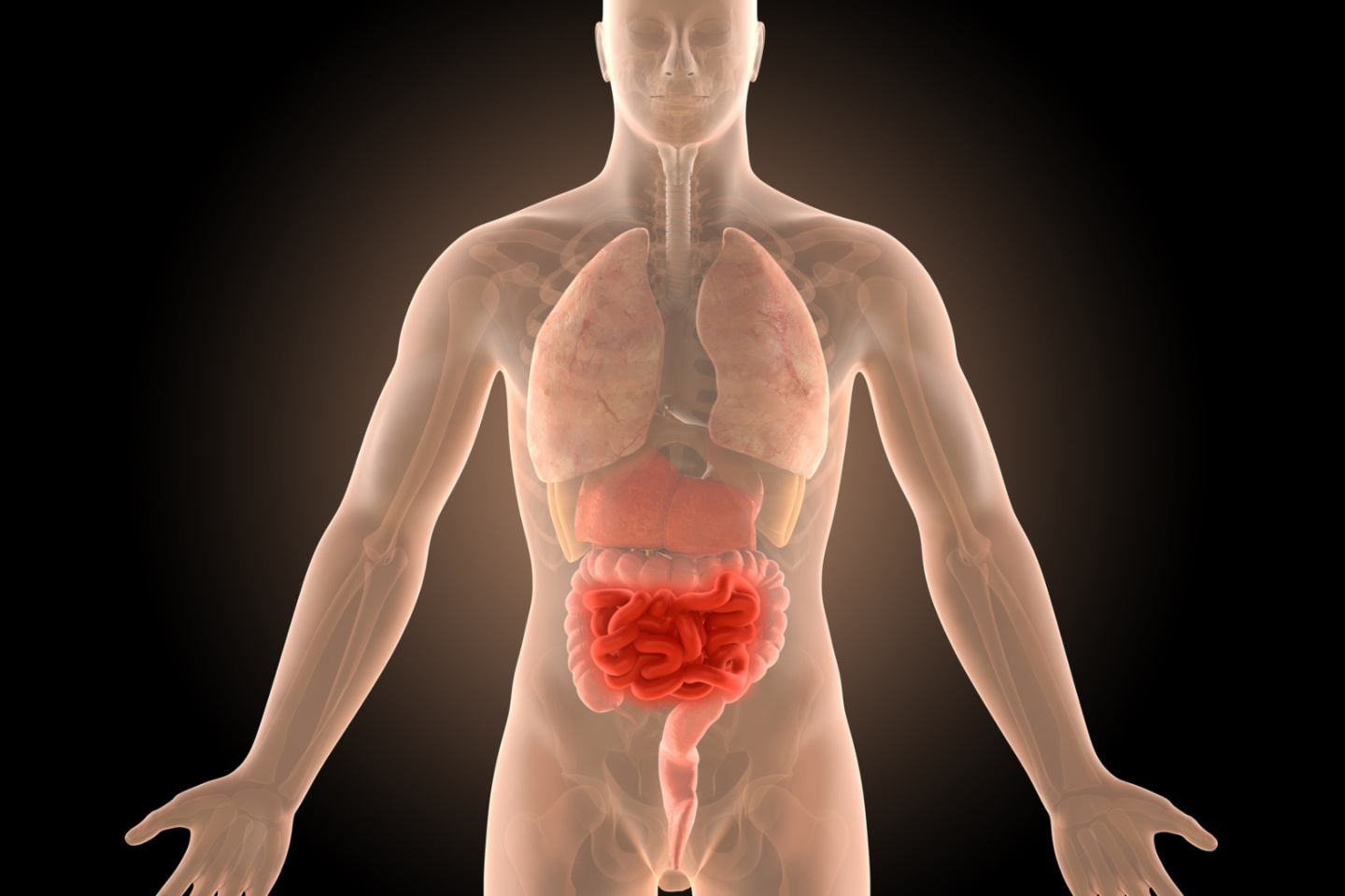 NEUROSCIENTIFIC_CROHNS_BNBWA