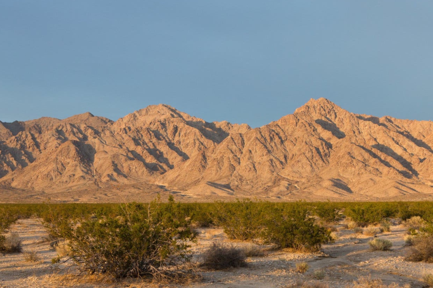 DATELINE RESOURCES MUSIC VALLEY BULLS N' BEARS