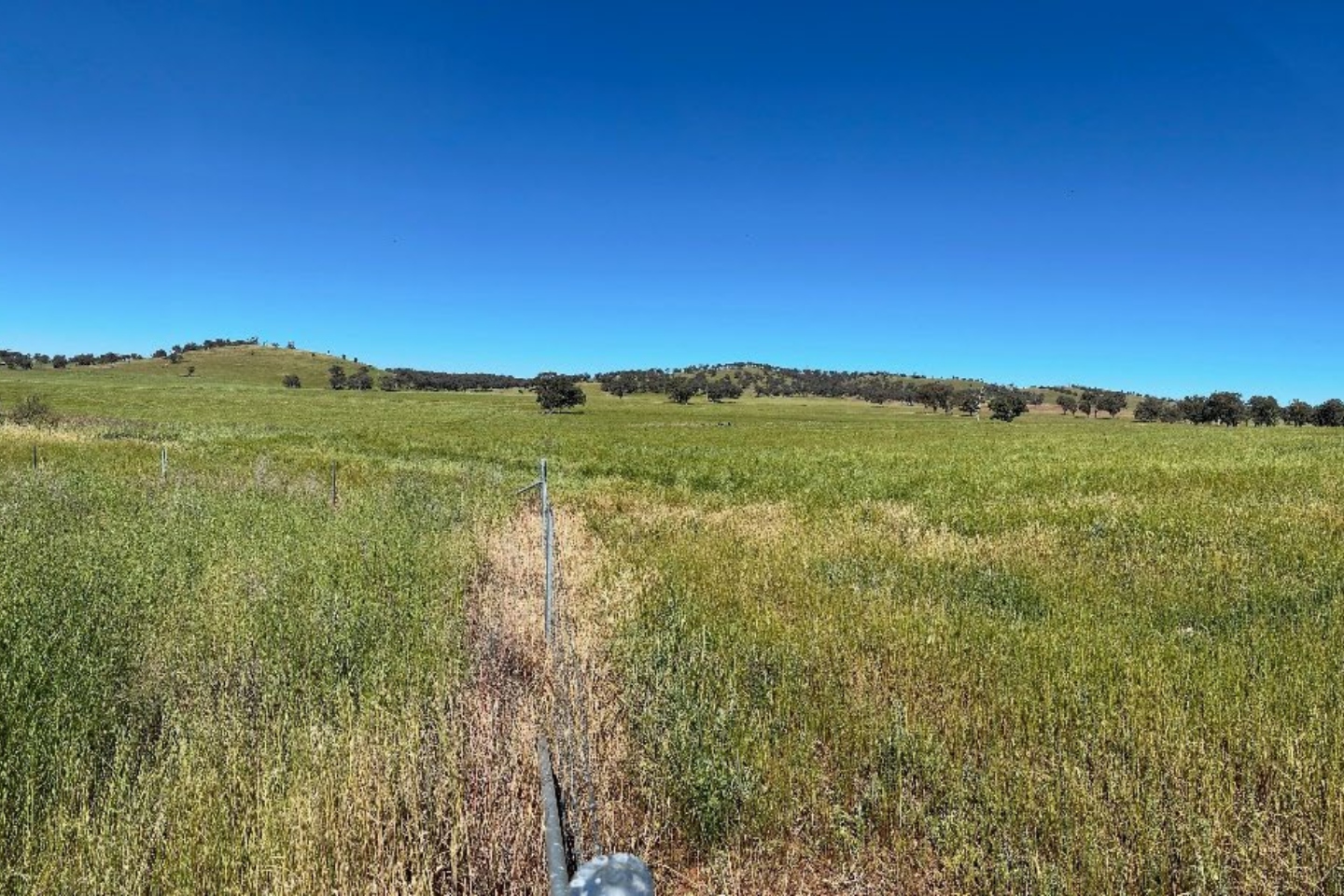 EXPEDRA RESOURCES SPRINGFIELD BNBWA 1440 X 960