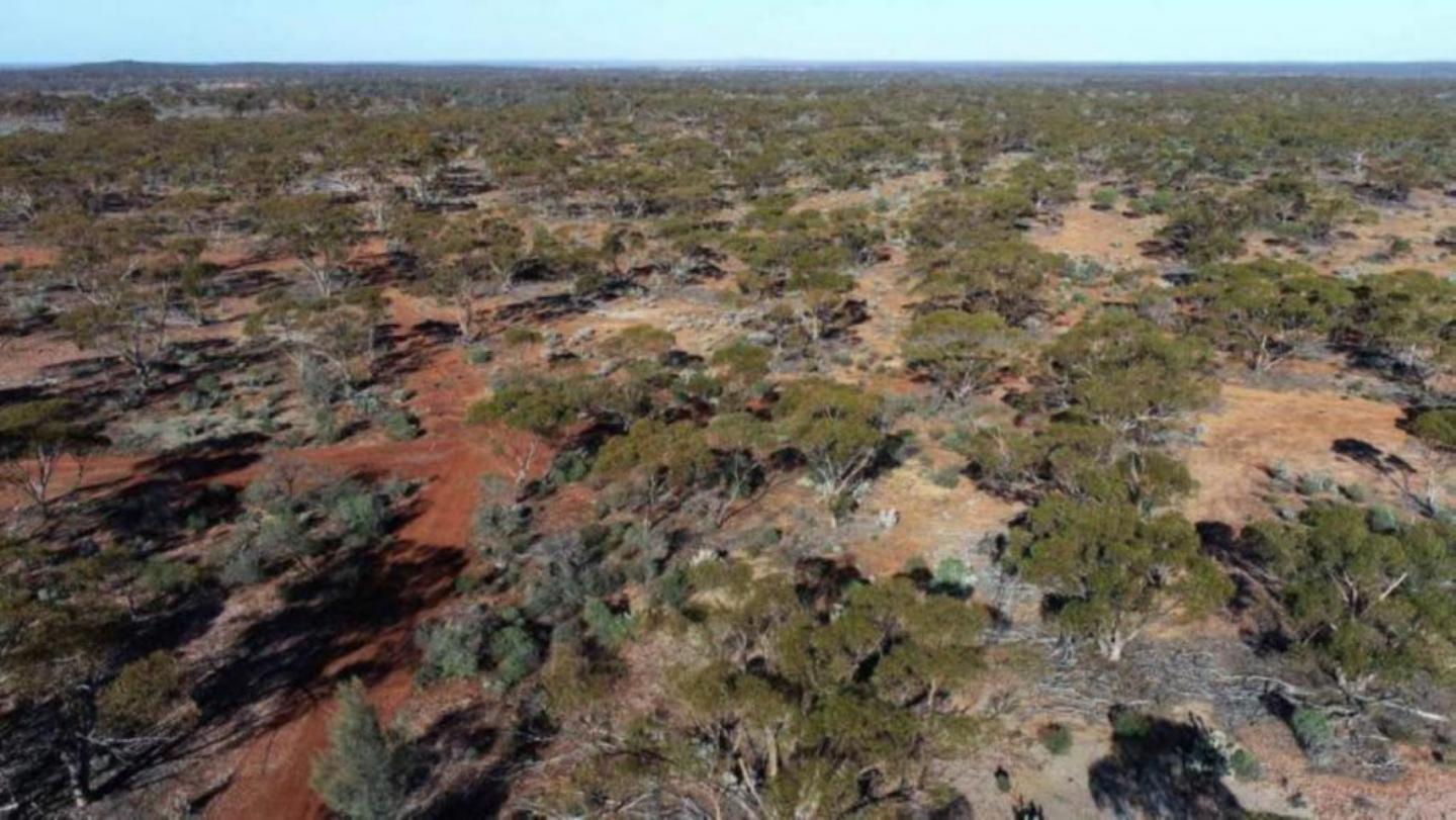 Metallium secures binding agreement with Indium Corporation