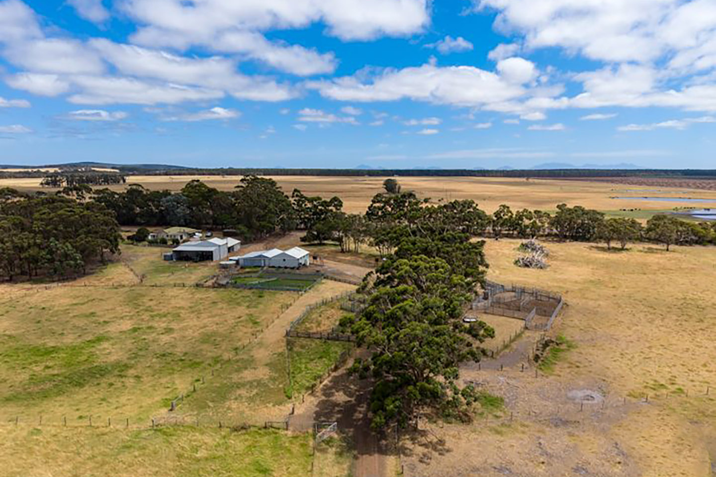 Former West Coast Eagle, business partner buy $7.4m Albany farm