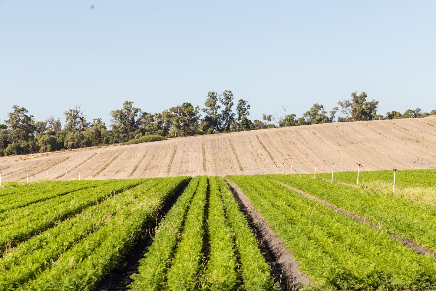 Australia secures fertiliser deal with Indonesia