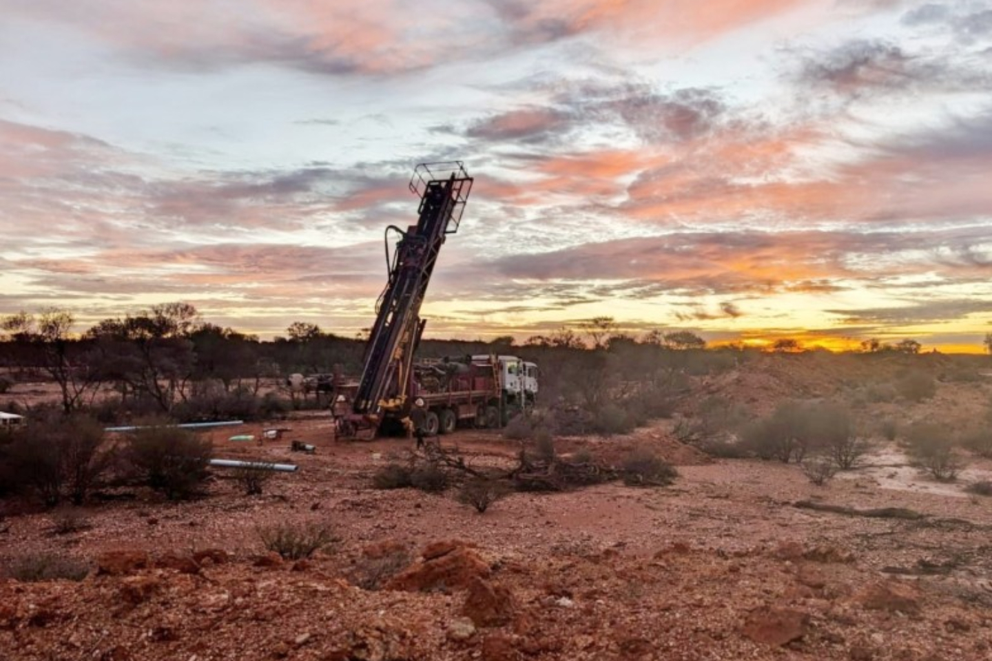 MARITANA MRT RIG NR BLACK SWAN BNBWA