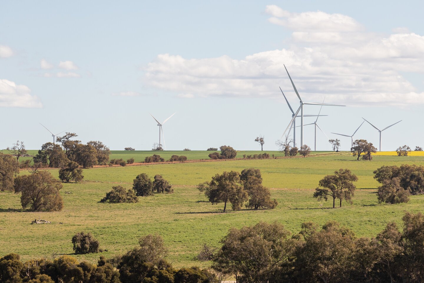 Renewable projects set records but still face headwinds