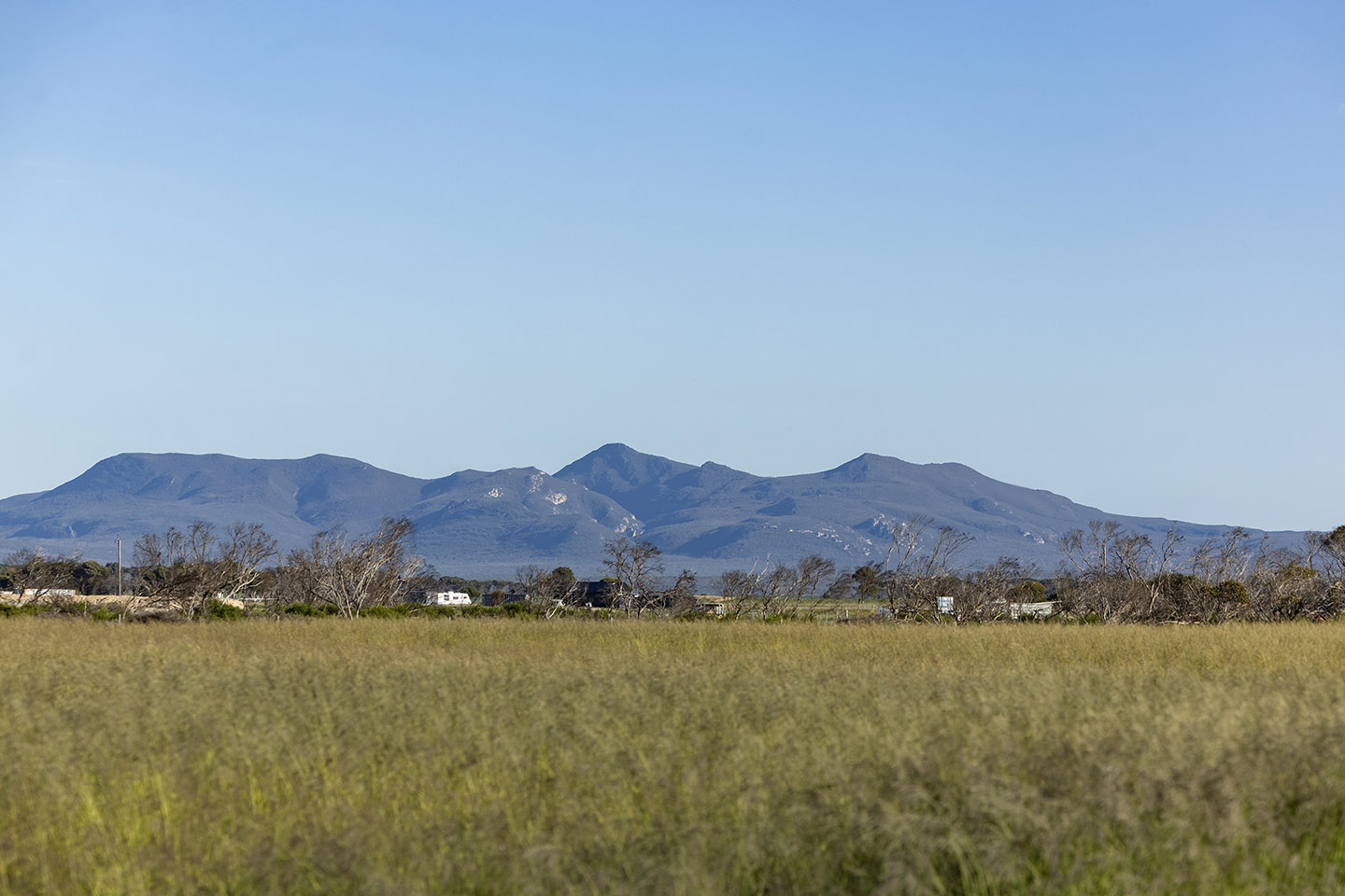 NSW cotton king to absorb major WA corporate farm 