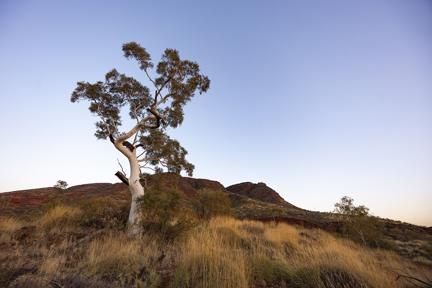 ‘Predatory’ consultants targeted in Aboriginal heritage revi