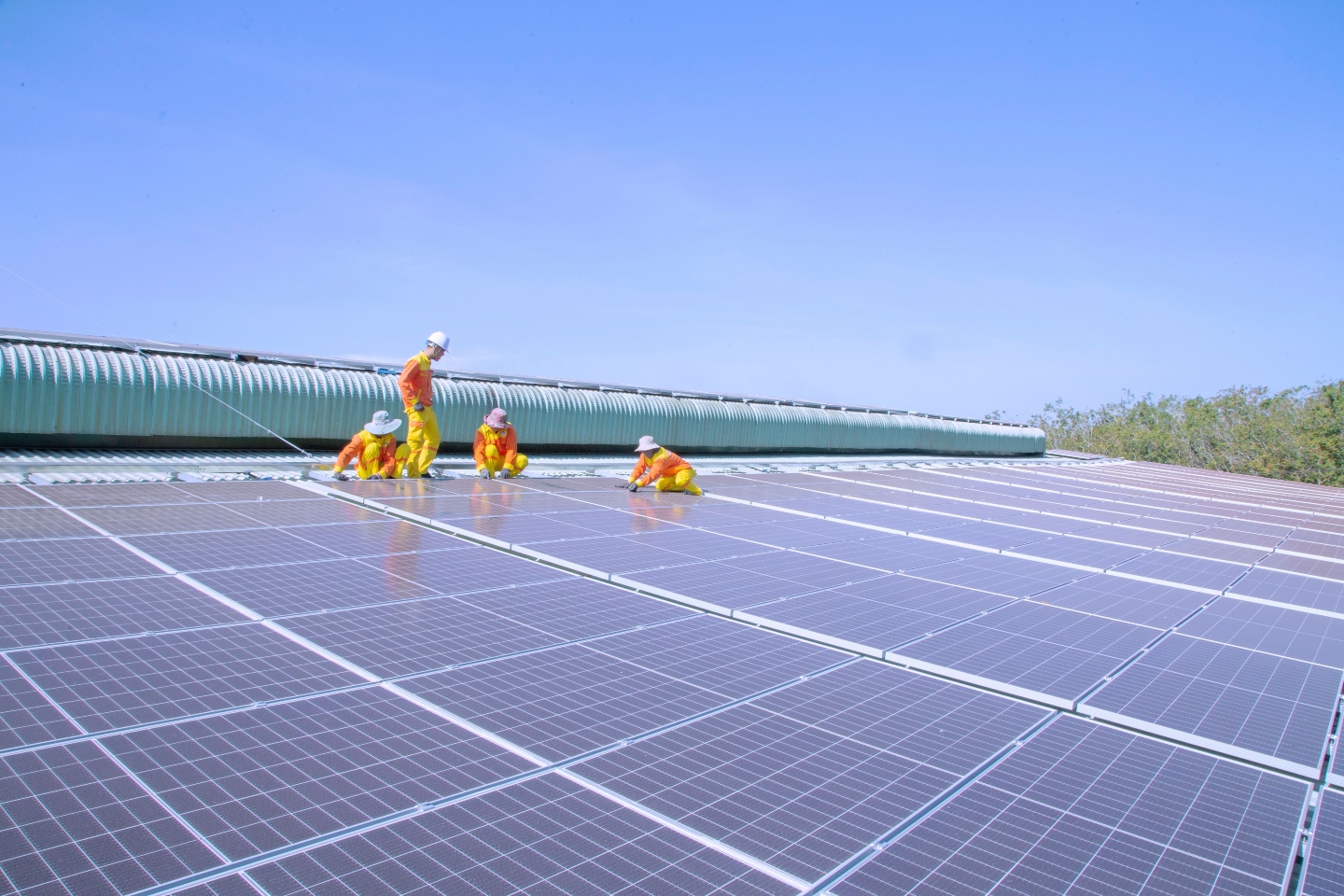 Businesses MIA on rooftop solar, battery revolution