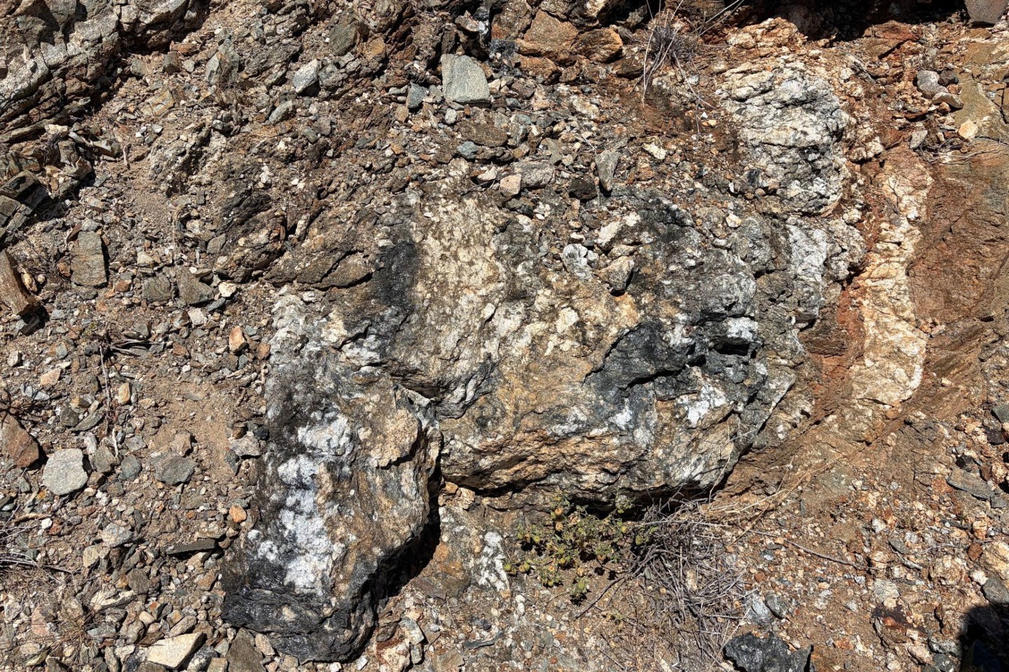 DATELINE_PINTO GNEISS 7.1%TREO MUSIC VALLEY_BNBWA