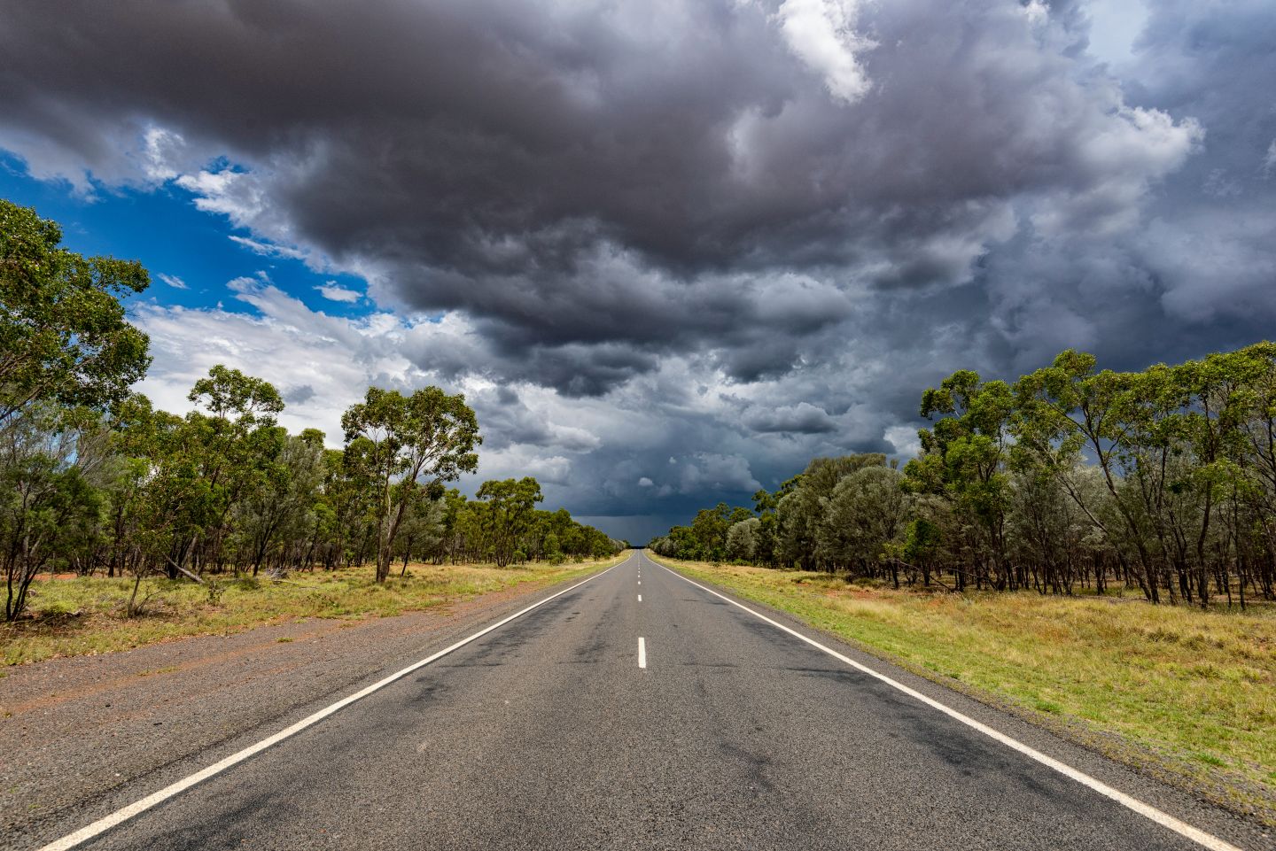 Qld