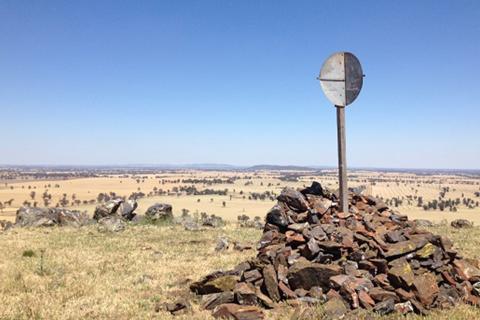 Lycopodium chosen for cobalt study