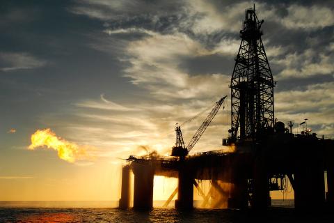 Oil prices fall on large US crude build