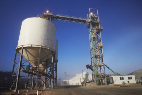 CBH records $30m loss