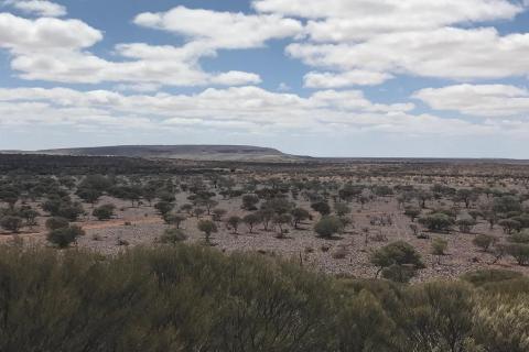 Gabanintha vanadium project progresses