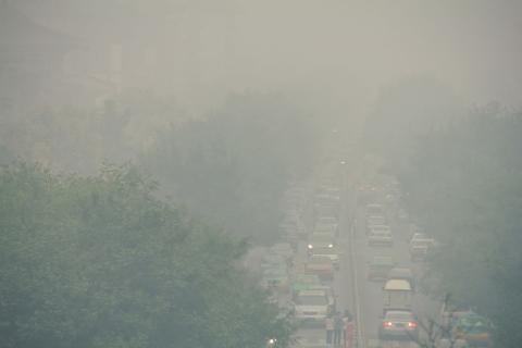 Riding the commodities cycle