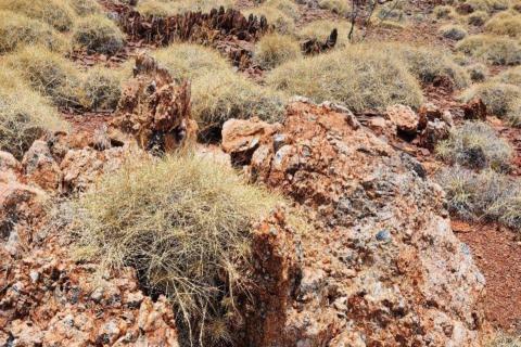 GreenTech sets sights on three big Pilbara lithium trends