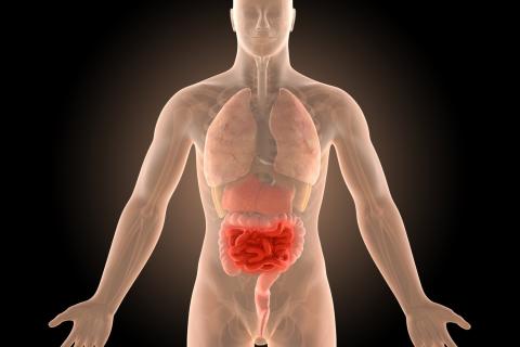 NEUROSCIENTIFIC_CROHNS_BNBWA