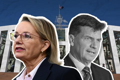 Angus Taylor has been elected the new leader of the Liberal Party. Photo: (AAP Image/Susie Dodds)