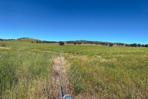 EXPEDRA RESOURCES SPRINGFIELD BNBWA 1440 X 960