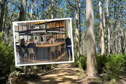 Boranup Forest has bounced back from the 2021 fire. INSET: Vintners Wine Bar.