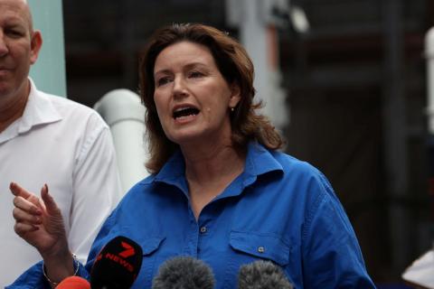 Fisheries Minister Jackie Jarvis. Photo: Tom Zaunmayr