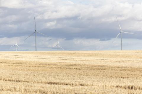Intercontinental Energy is planning two large green energy projects in WA. Photo: Tom Zaunmayr