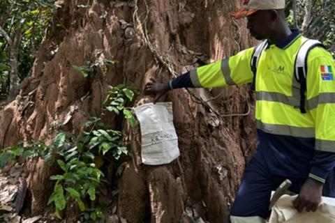 METALSGROVE_TERMITE MOUND SAMPLING_BNBWA