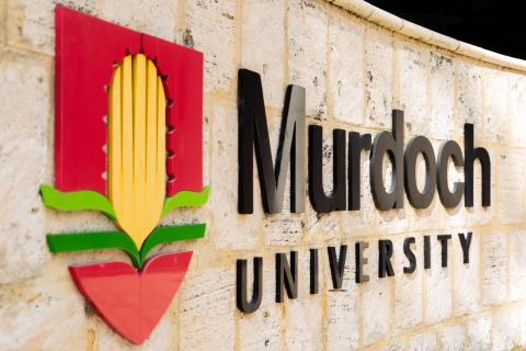 Murdoch University's international students intake accounts for a third of its total revenue, the auditor general claims.