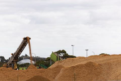 Renewable.bio's woodchip stockpile in Esperance. Photo: Tom Zaunmayr