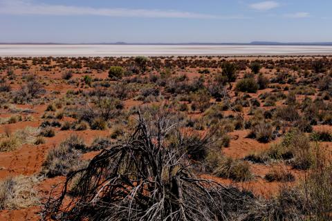 Toro Wiluna Lake Maitland uranium project BNBWA