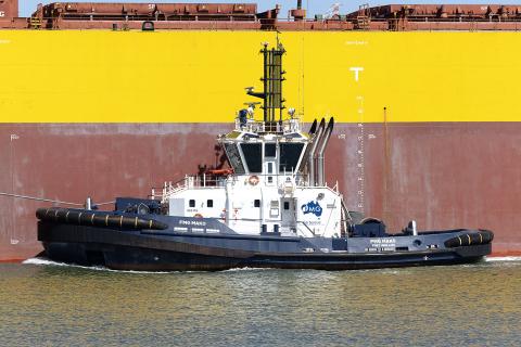 Fortescue exported more than 200Mt of iron ore last financial year. Photo: Tom Zaunmayr