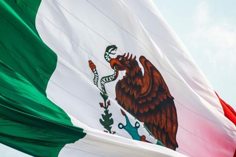 MX flag 