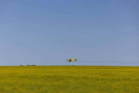 Aerial spraying of canola in September. Photo: Tom Zaunmayr