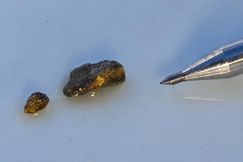 Great Southern Mining visible gold 26GBRC035 45to46m Golden Boulder WA BNBWA