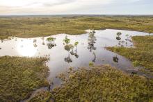Kimberley cattle empire sold for $300m