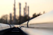 WA government mulls biofuels support