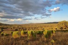 Trahar seeks 100pc of CO2 Australia