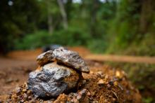 Genmin taps investors for $28.3m