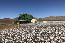 Ord farmland expands to NT border