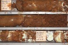 Ardea nickel testwork brings bank balance boost