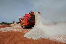 Leo nears JV stake sale confirmation
